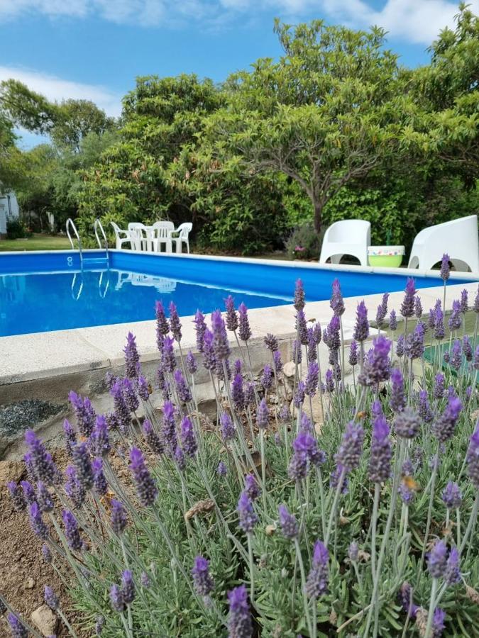 Lodge Cabanias El Aguaribay